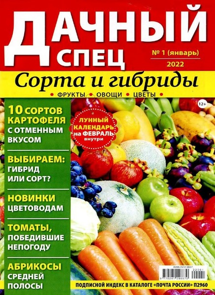 Дачный спец №1, январь 2022