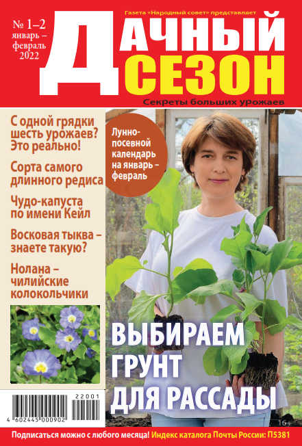 Дачный сезон №1-2, январь - февраль 2022