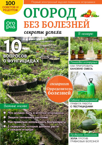 Огород Ру №3, март 2019