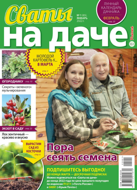 Сваты. На даче №1, январь 2022