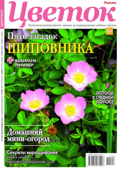 Цветок №2, январь 2022