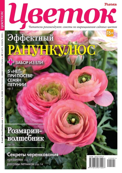 Цветок №1, январь 2022