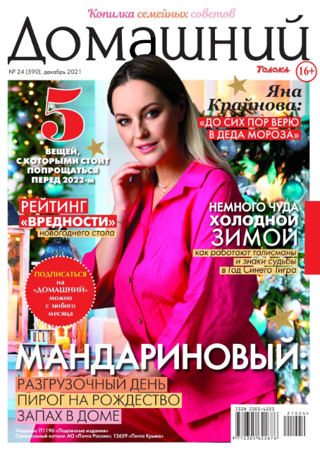 Домашний №24, декабрь 2021