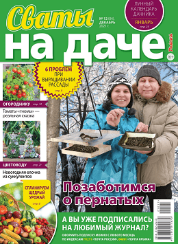Сваты. На даче №12, декабрь 2021