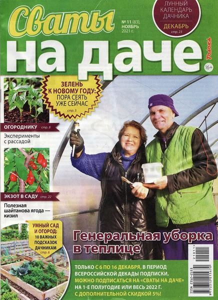 Сваты. На даче №11, ноябрь 2021