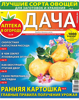 Дача №7, апрель 2022