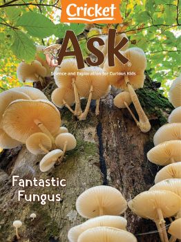 Ask May 2022