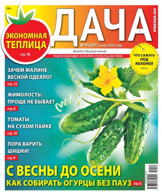 Дача №9, май 2022