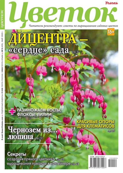 Цветок №9, май 2022