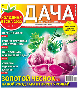 Дача №10, май 2022