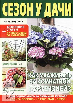 Сезон у дачи №3, февраль 2019