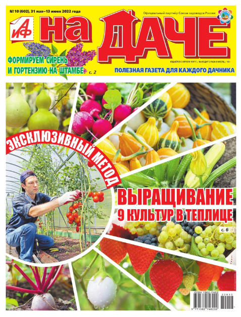 АиФ. На даче №10, май - июнь 2022