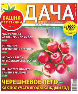 Дача №11, июнь 2022