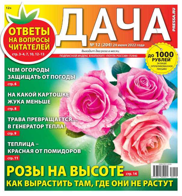 Дача №12, июнь 2022