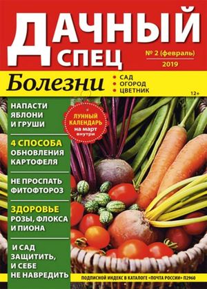 Дачный спец №2, февраль 2019