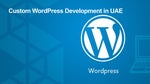 Custom WordPress Development in UAE