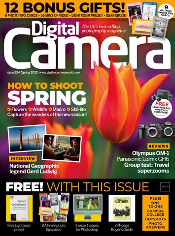 Digital Camera 254 (Sampler)