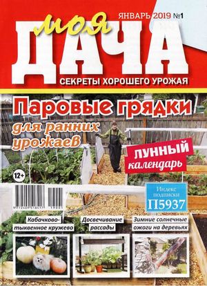 Моя дача №1, январь 2019