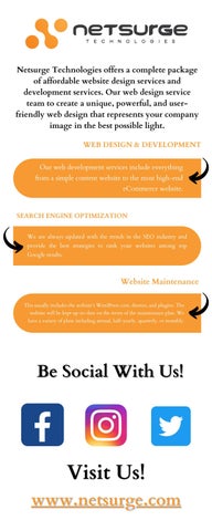 WordPress Website Development Services - Netsurge