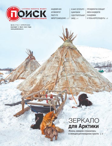 poisk_142022