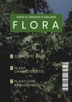 FLORA MAGAZINE ISSUE 01