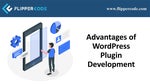 Do You Want to Hire a WordPress Plugin Developer?