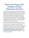 What Is The Purpose Of A WordPress Website Maintenance Provider?