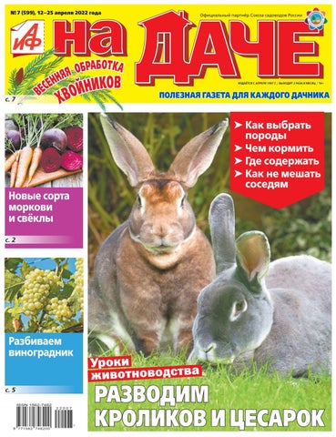 aifnadache_072022