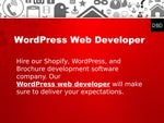 WordPress Web Developer