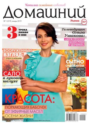 Домашний №1, январь 2019