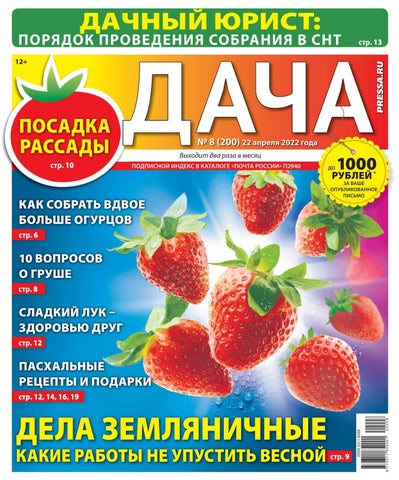 Дача, Выпуск 08 2022
