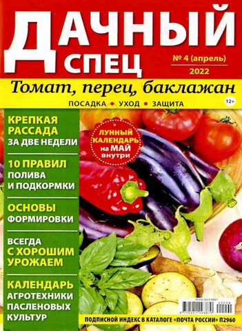 Дачный спец, выпуск 04 2022