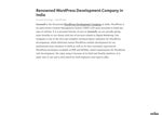 9716522169 WordPress Development Company in Delhi