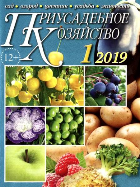 Приусадебное хозяйство №1, январь 2019