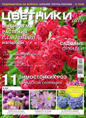 Цветники в саду №2, февраль 2019