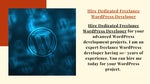 Hire Freelance Wordpress Developer