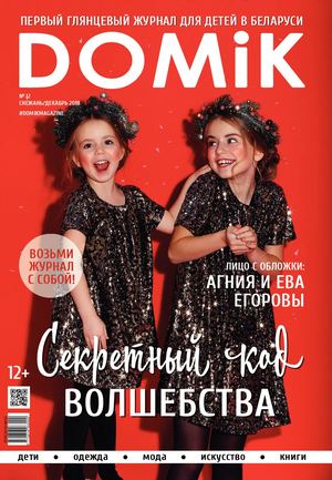DOMiK №12, декабрь 2018