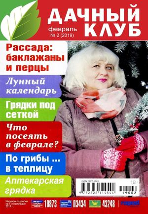 Дачный клуб №2, февраль 2019