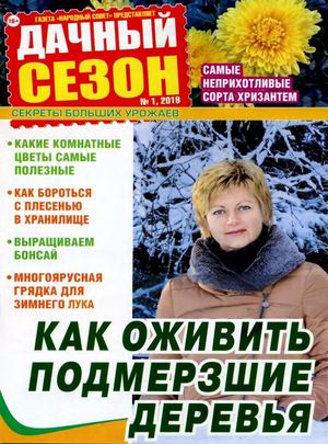 Дачный сезон №1, январь 2019