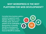 WHY WORDPRESS IS THE BEST PLATFORM FOR WEB DEVELOPMENT?