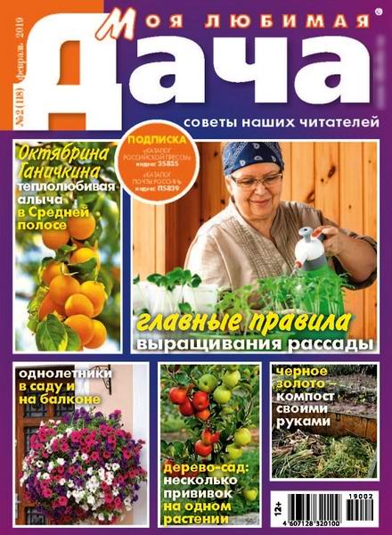 Моя любимая дача №2, февраль 2019