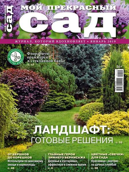 Мой прекрасный сад №1, январь 2019