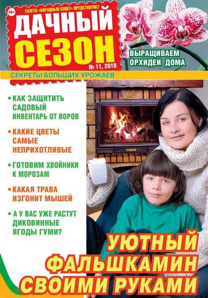 Дачный сезон №11, ноябрь 2018