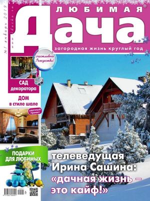 Любимая дача №1, январь 2019