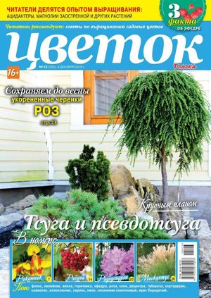 Цветок №23, декабрь 2018