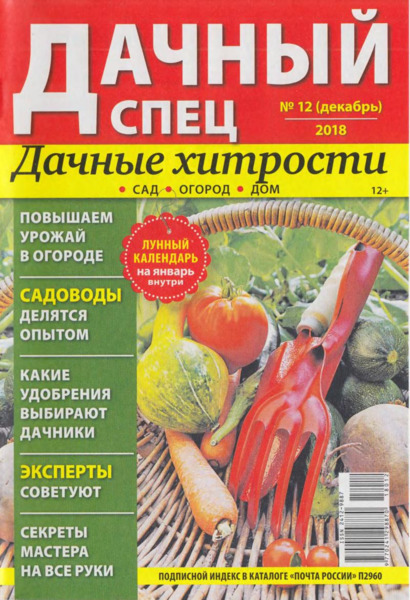Дачный спец №12, декабрь 2018