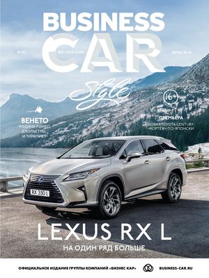 Business car style №30, зима 2018 - 2019