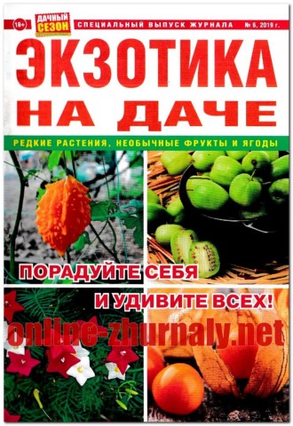 Дачный сезон. Спецвыпуск №6, 2019