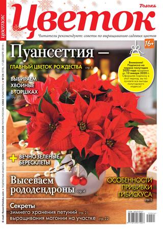 Цветок №24, декабрь 2019