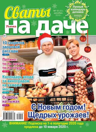 Сваты. На даче №12, декабрь 2019